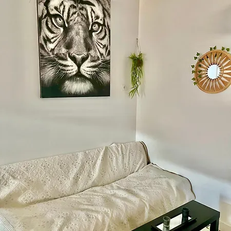 Charmant Appartement דירה