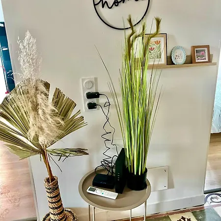 Charmant Appartement דירה *